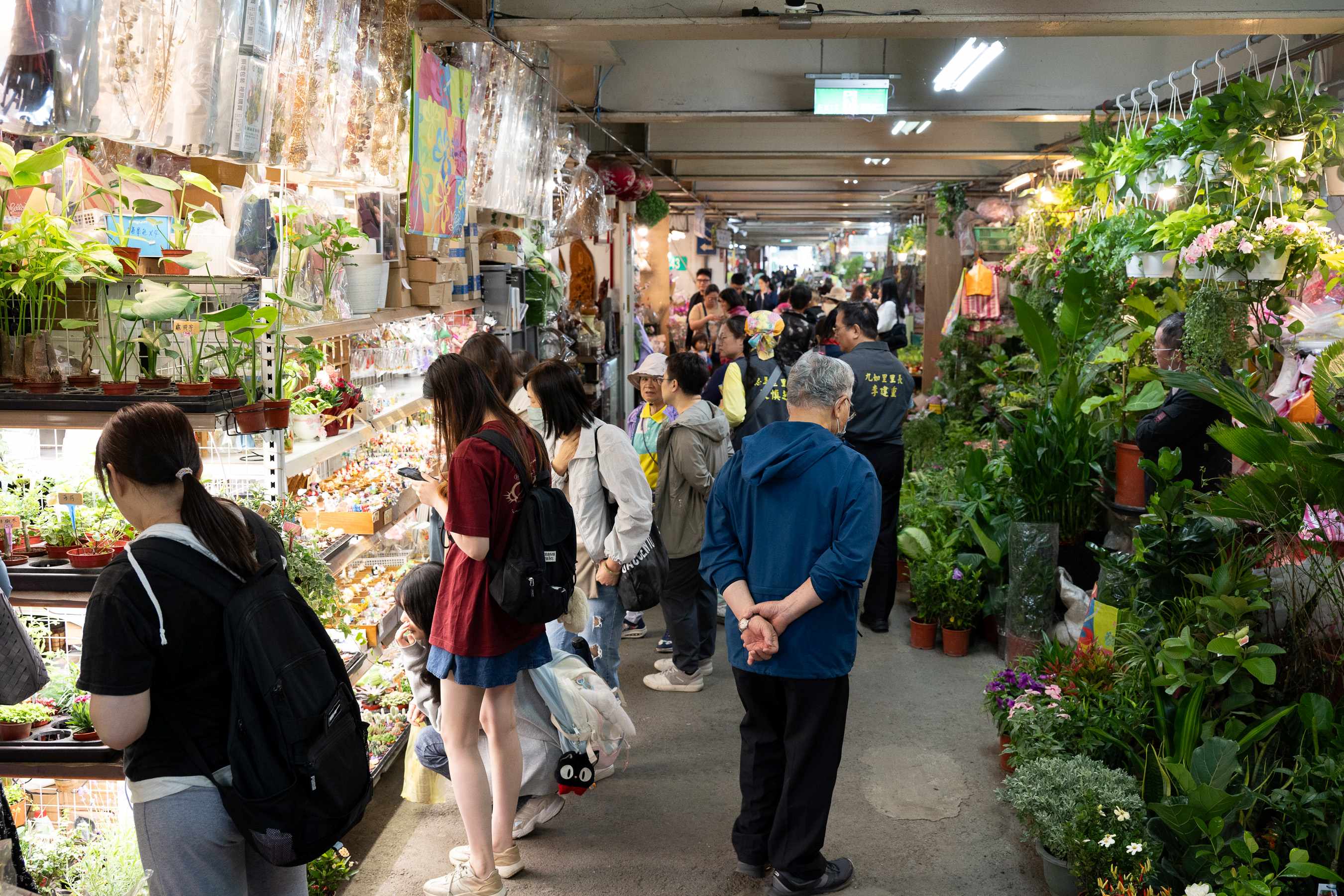 市府持續推動花市轉型,提供兼具五感體驗與特色好物