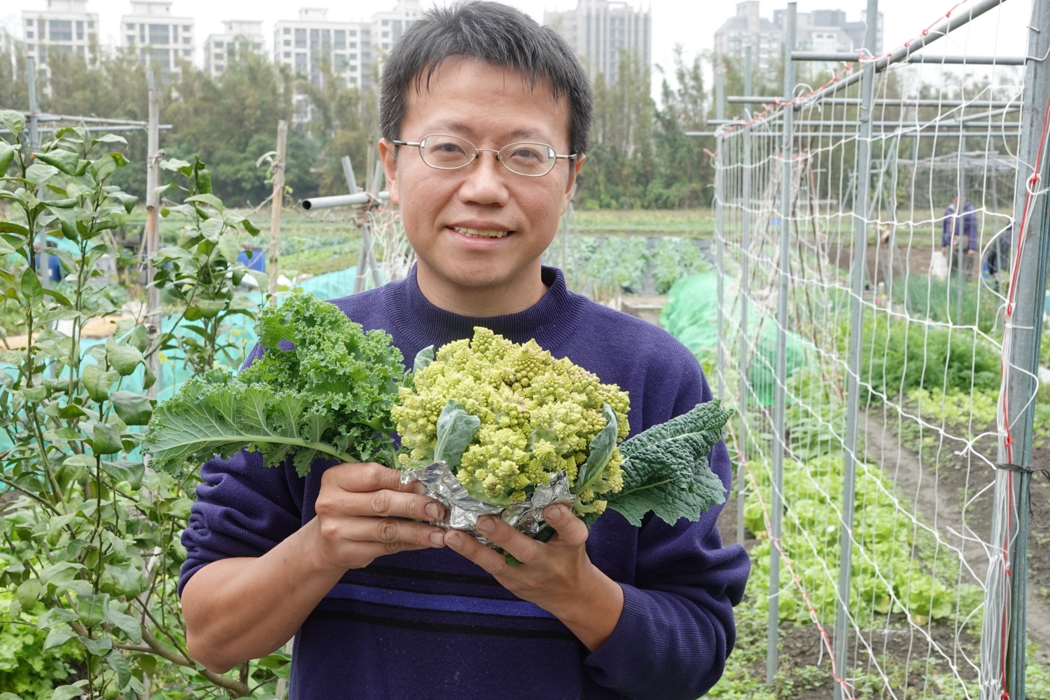 秦家圓農場種植各種有機蔬菜,並提供食農教育讓民眾體驗有機農業