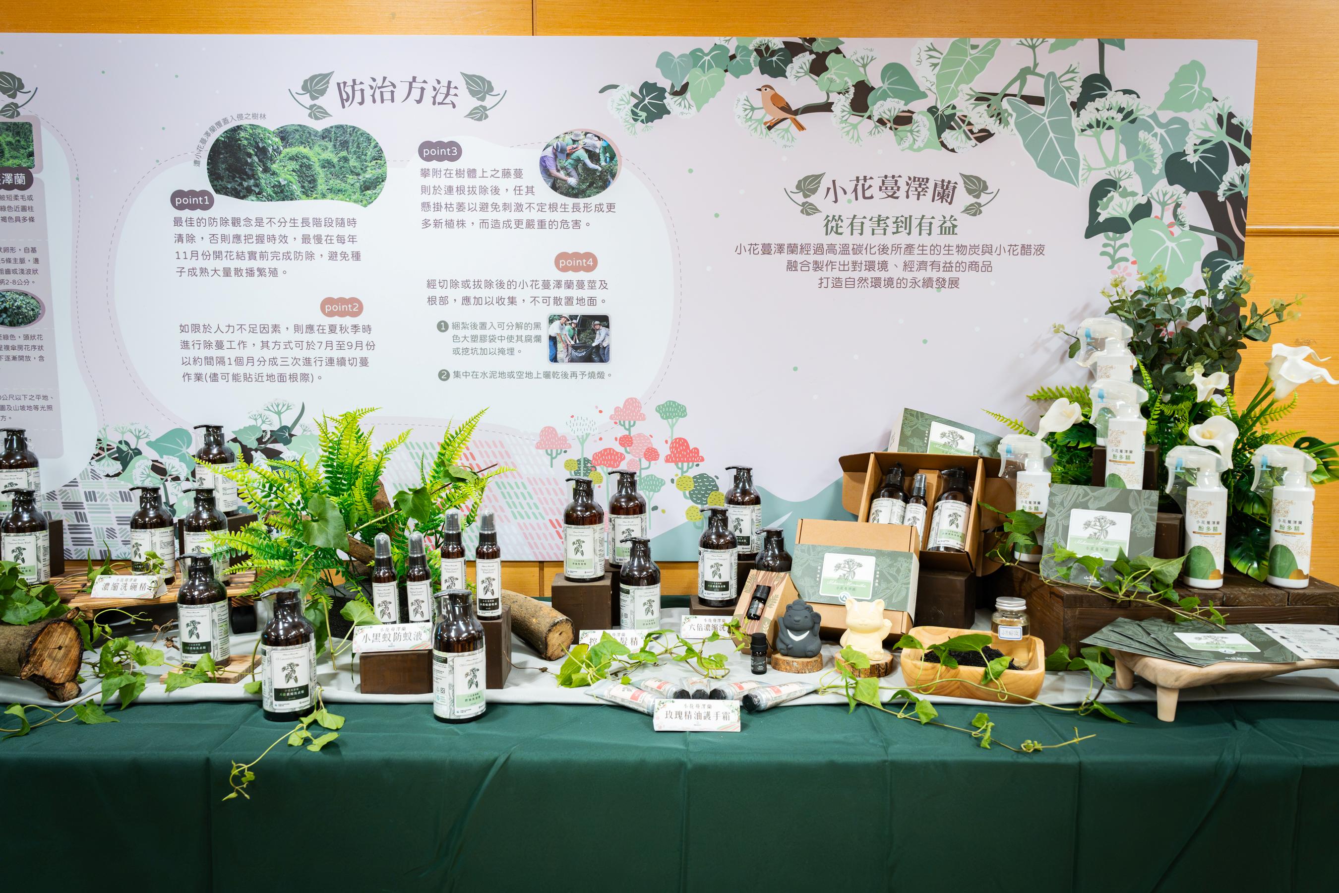 小花蔓澤蘭殘株可製成洗碗精、沐浴乳等製品