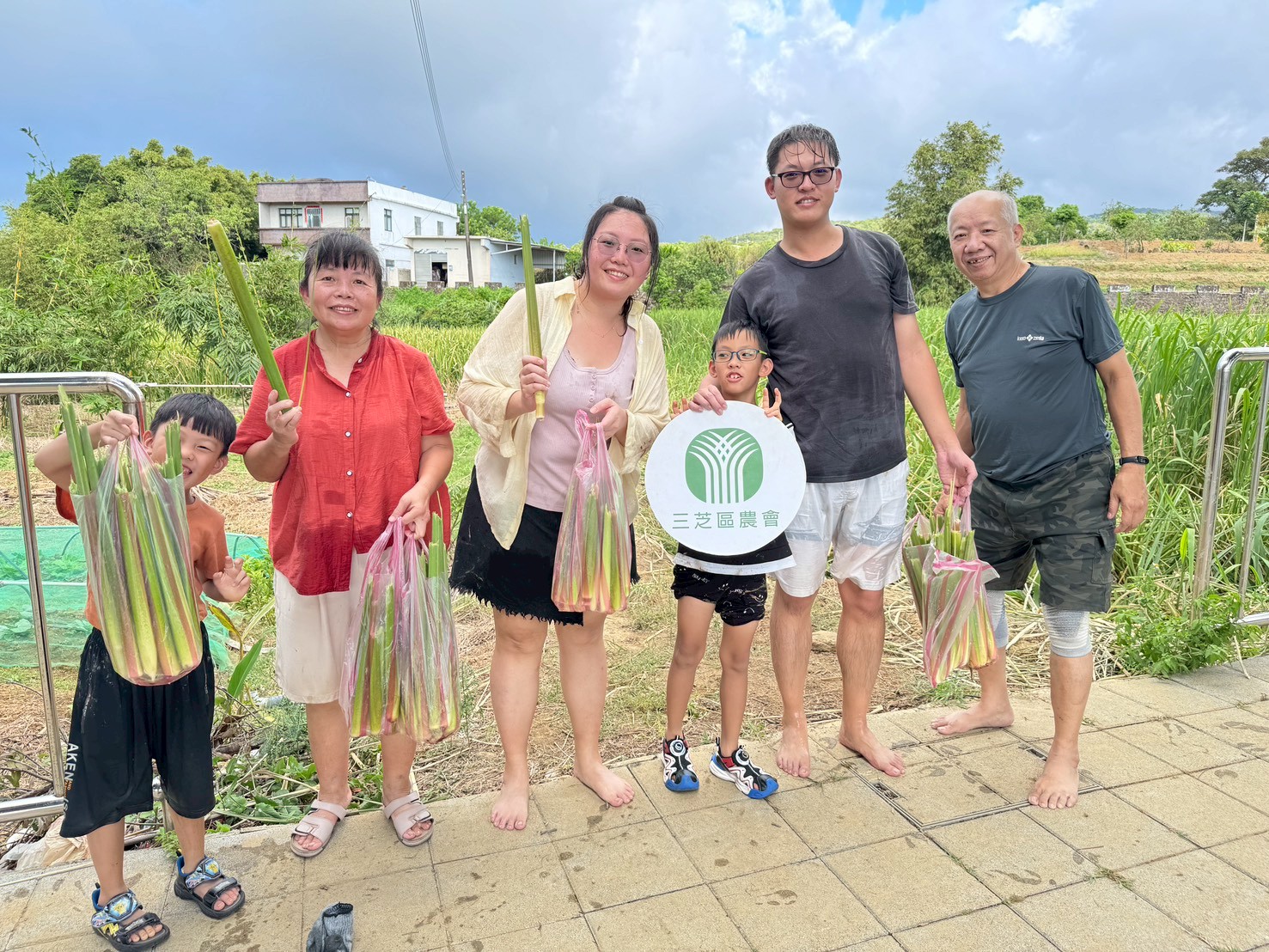 民眾走進三芝田間採收茭白筍,親近土地並體驗在地農村生活