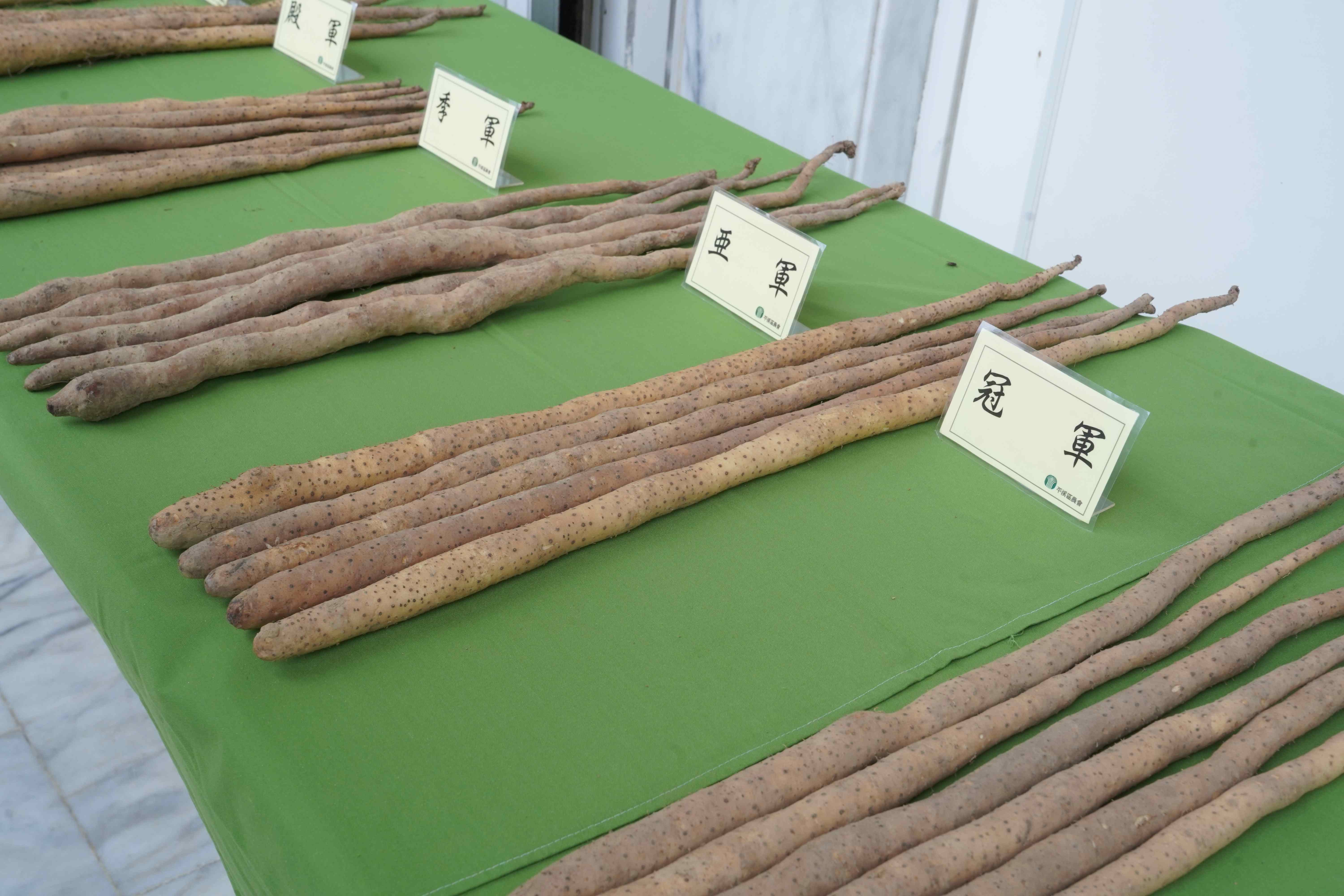 平溪農友多非穴管方式栽培,直接將種子或種苗埋入畦中,讓其自由生長,充分吸收土壤自然養分,如此栽培出的山藥口感Q、耐烹煮、風味極佳