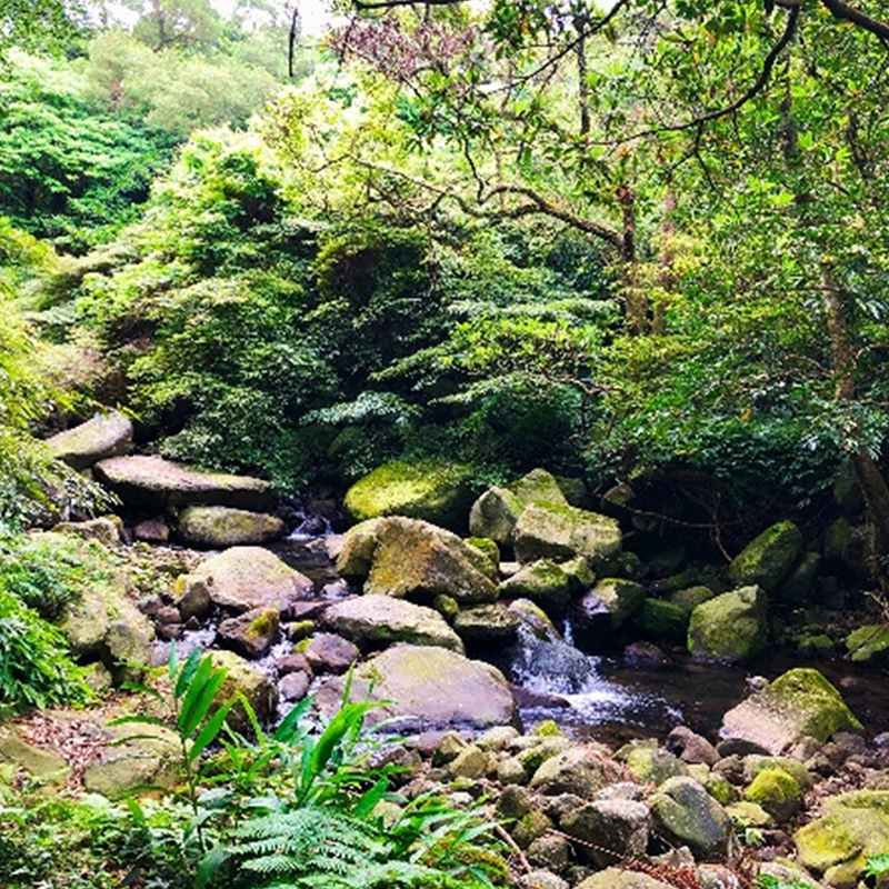 大屯溪古道休閒農場