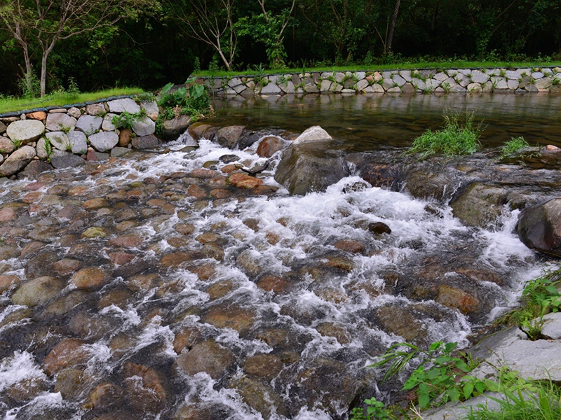 金山區清水園風景景色照